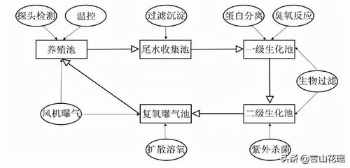 工廠化循環(huán)水系統(tǒng)在大口黑鱸養(yǎng)殖中的應用及信息系統(tǒng)運行維護服務
